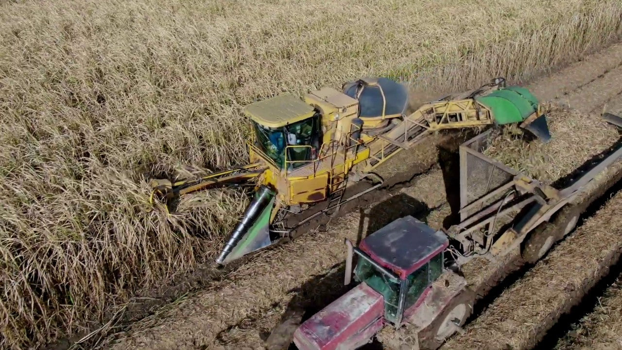 John Deere Cameco CH3500 Harvester Technical Service Repair Manual - PDF